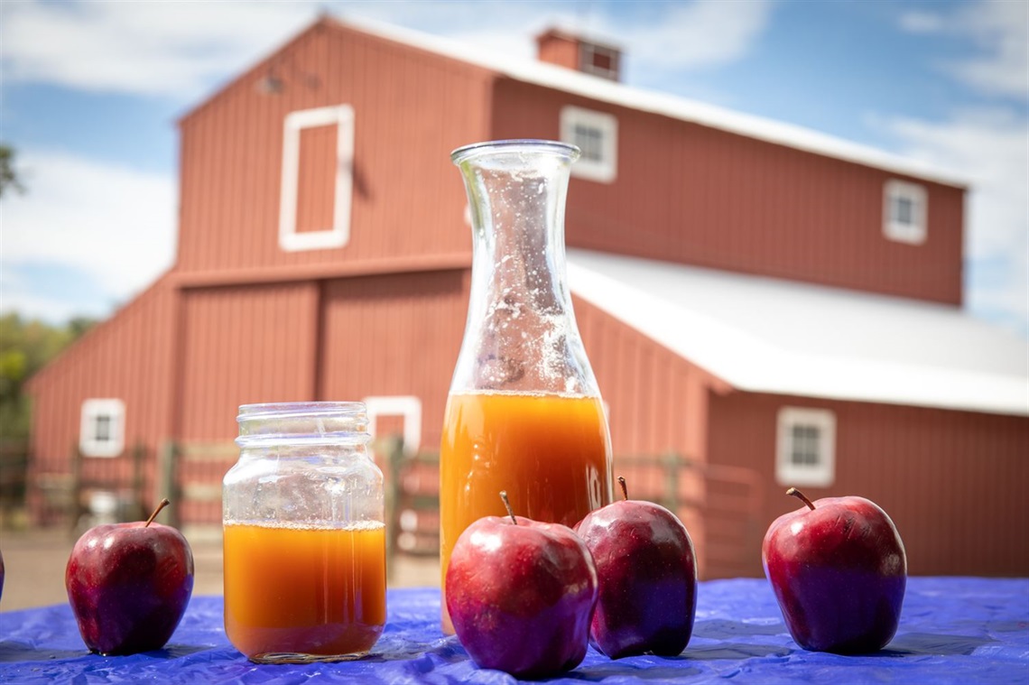 Cider Pressing supplies