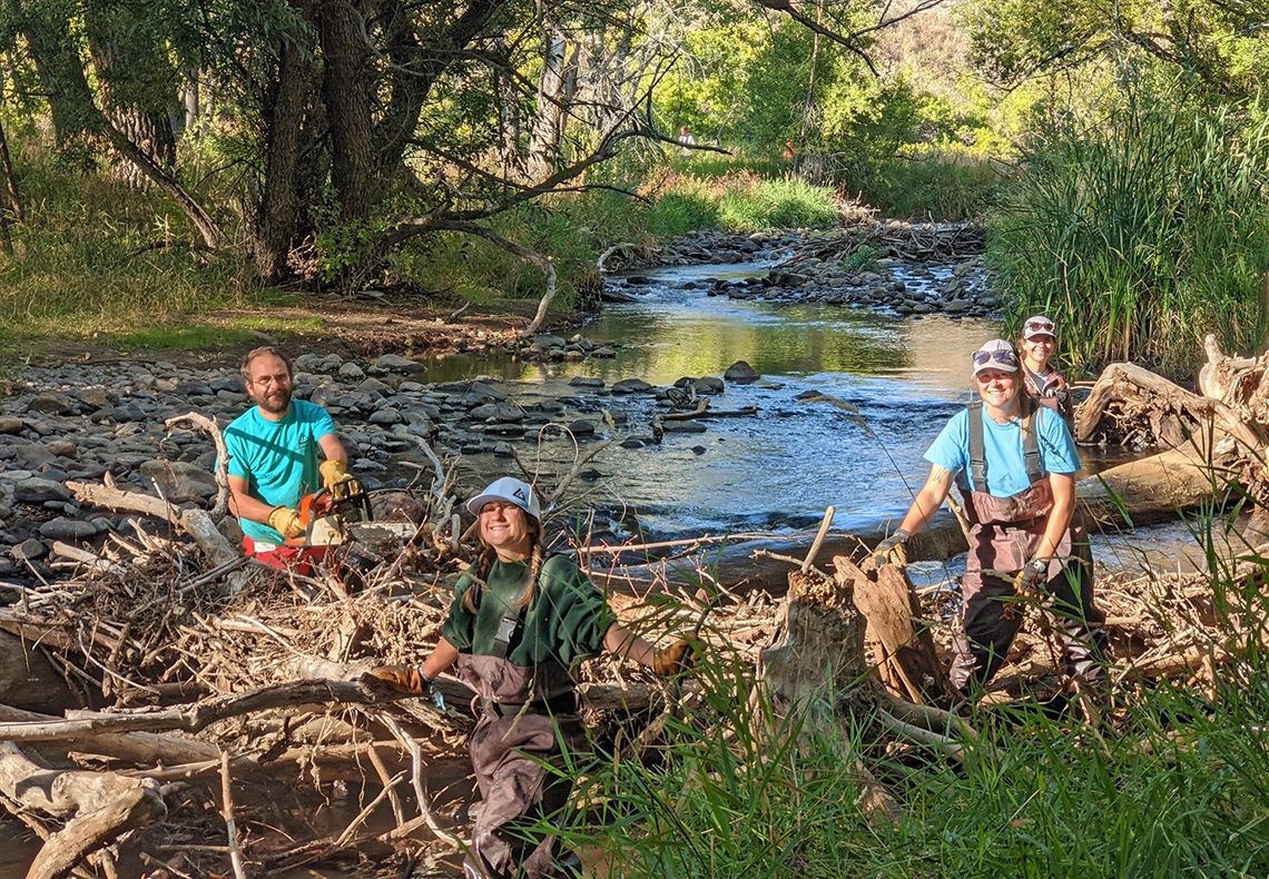 A group of volunteers move branches.