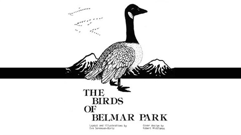 birds of belmar park image for opencities