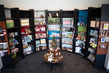 Wide View of Toy Display