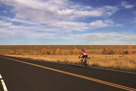 A biker heads down an empty road in Bear Creek Lake Park.