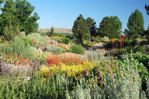 A beautiful overview of the Kendrick Lake Park garden trees and plants.