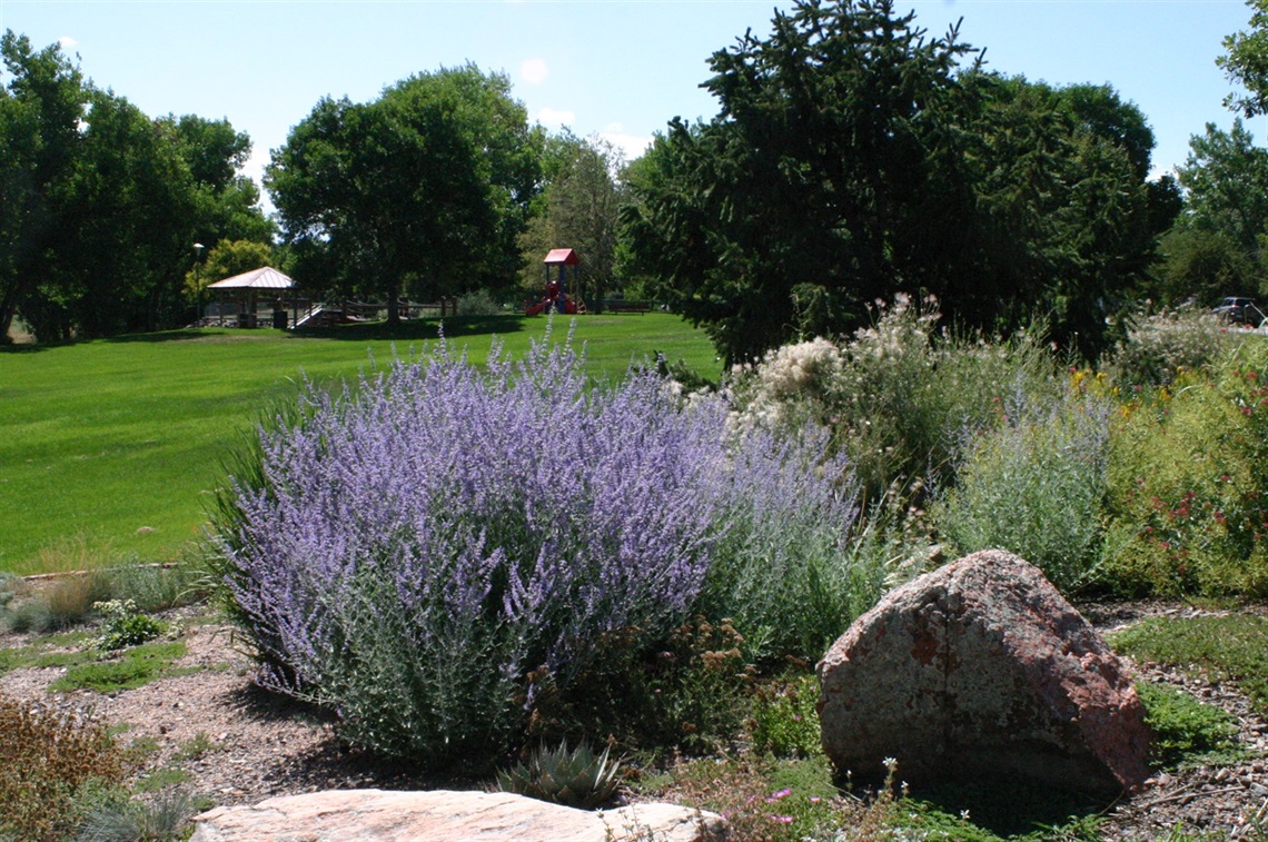 Sutherland Shire Park with garden