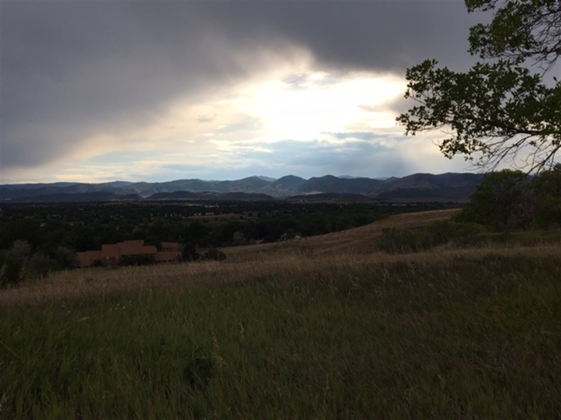 Taylor Property