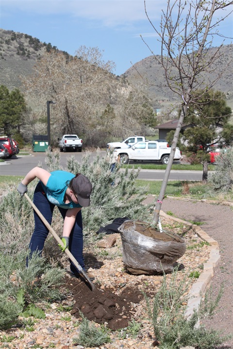 Woman planting a tree at Earth Day