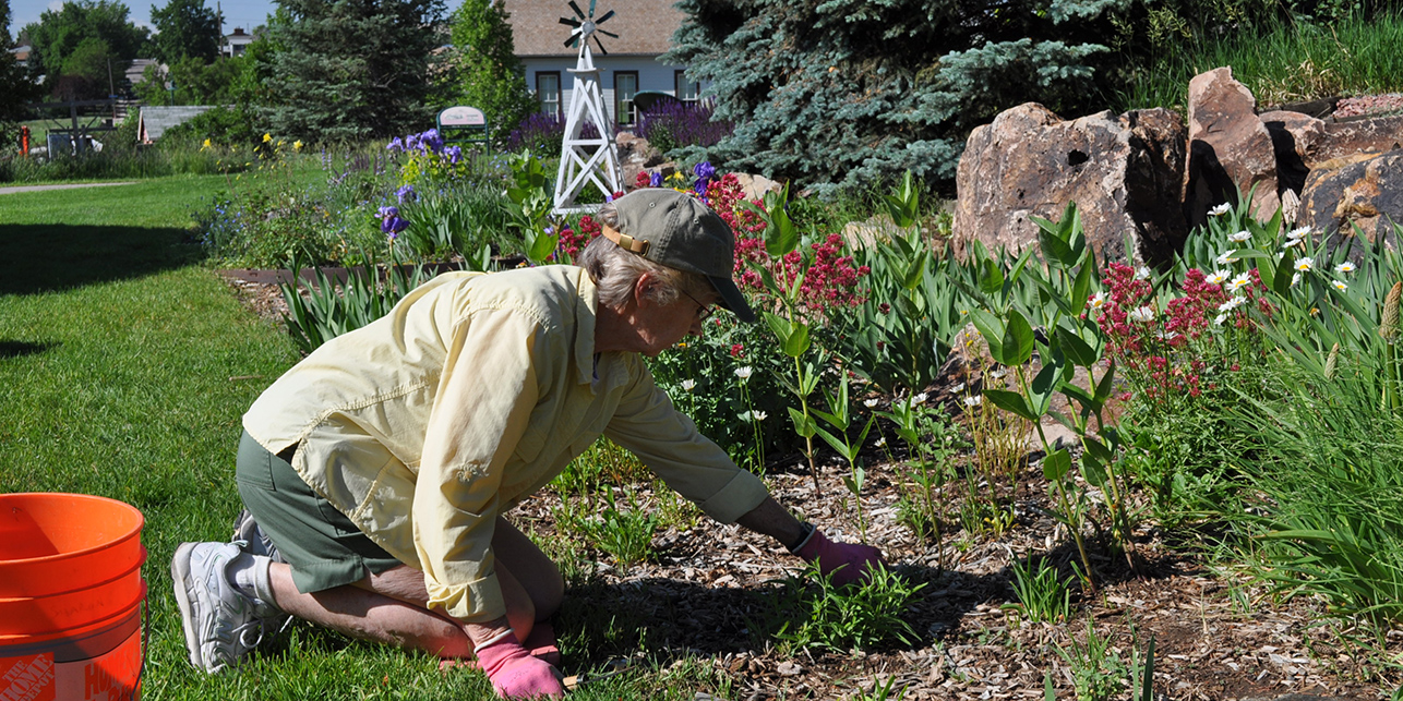A volunteer gardens at the Heritage Center.