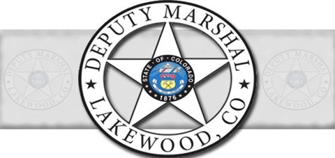 Deputy Marshal badge