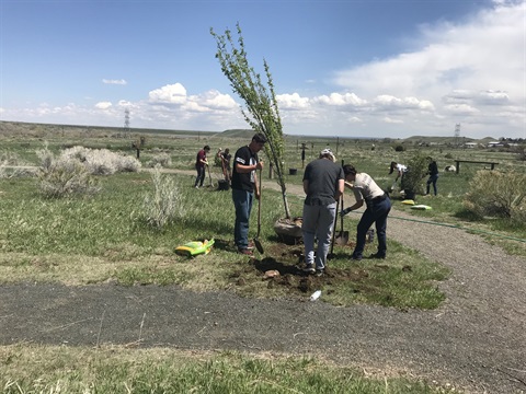 Residents planting tree