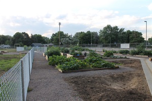 community-garden.jpg