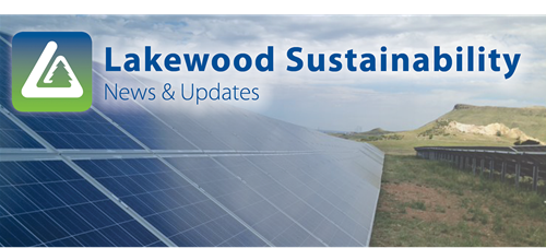 Sustainability News and Updates with Solar Panels.png