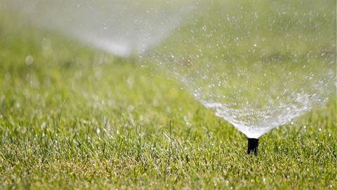 sprinklers watering green grass