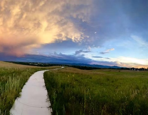 a walking path with grass on both sides and a blue sky above with a few clouds