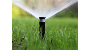 closeup of sprinkler spraying out water onto grass