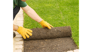 person wearing yellow gloves laying sod